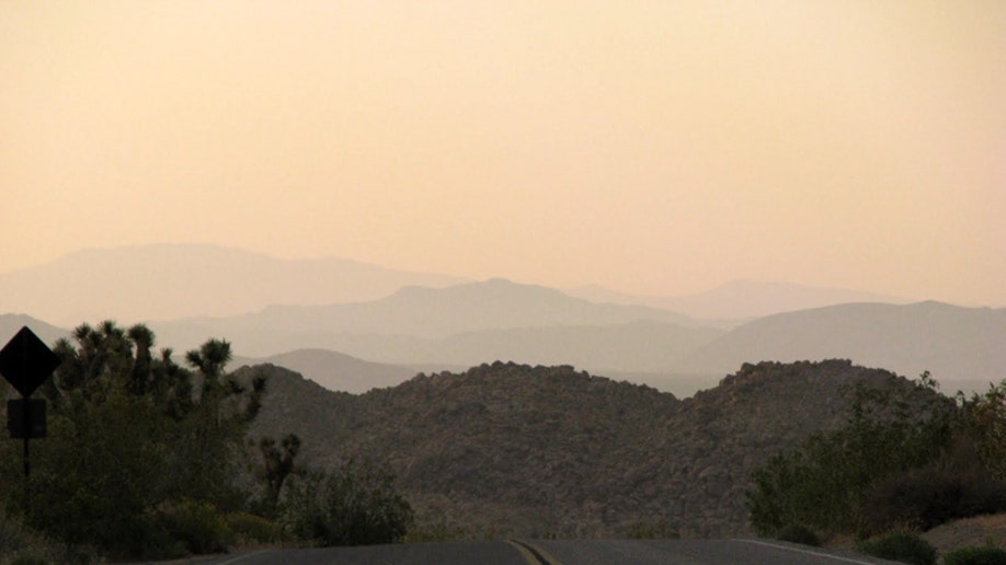 The Road Through Joshua Tree National Park