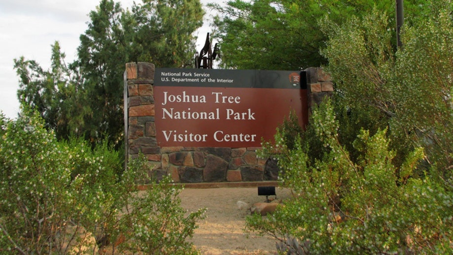 The Joshua Tree Visitor Center