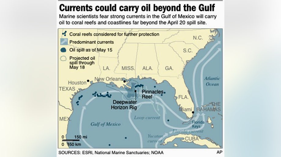 73a1254c-OIL_SPILL_REEFS