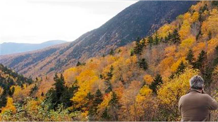 25269baa-Leaf Peeper Payout