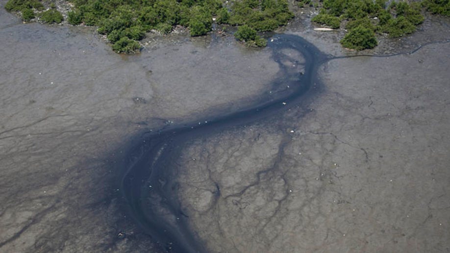 dd418ca9-Brazil Rio 2016 Dirty Olympics