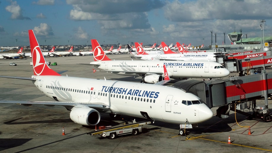 Turkish Airlines aircraft are parked at the Ataturk International airport in Istanbul