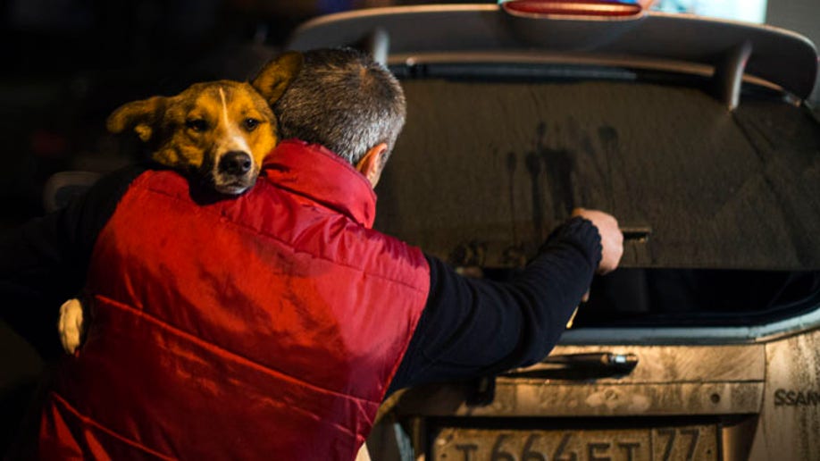 e5804438-Sochi Saving the Dogs Olympics