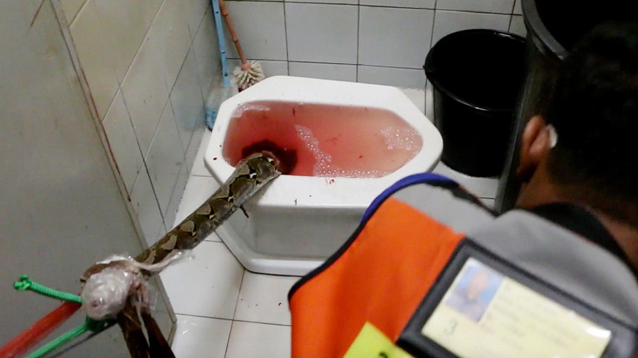 thailand-toilet-1
