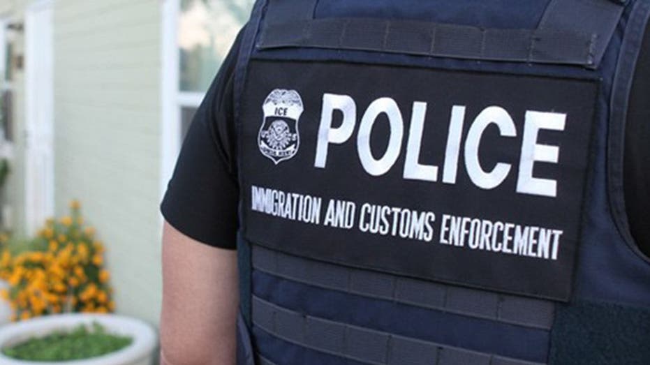 Suspect Fatally Shot by ICE Officer After Attempting to Escape Arrest