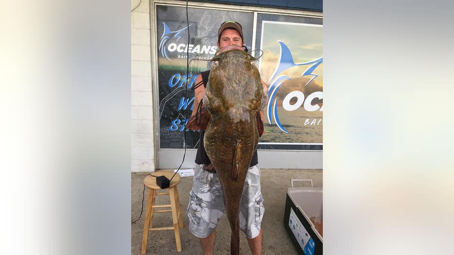 Virginia man reels in record-breaking catfish with $20 Walmart