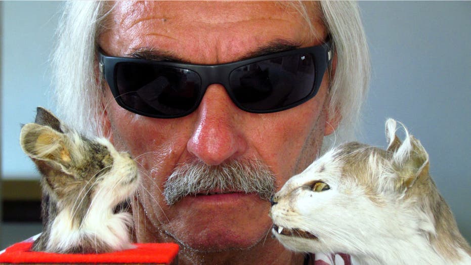 Turning Dead Animals into Mementos