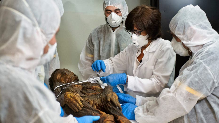 Spanish scientists using ground-breaking 3D scanner for mummified ...