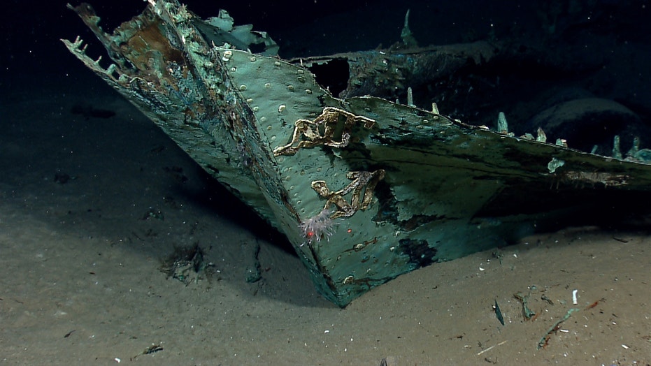 New Shipwrecks Found In Gulf Of Mexico