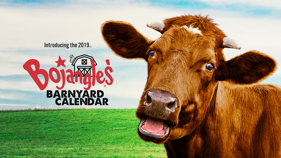 moo-ve-over-chick-fil-a-bojangles-offering-coupon-filled-calendar-following-retirement-of-cow-calendar-fox-news