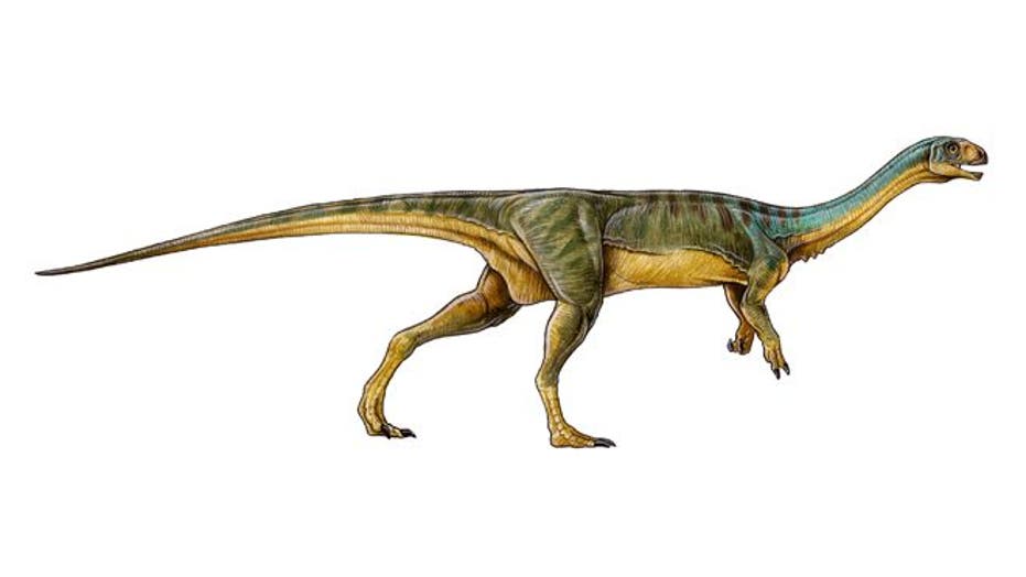 Bizarre ‘platypus’ dinosaur found in Chile
