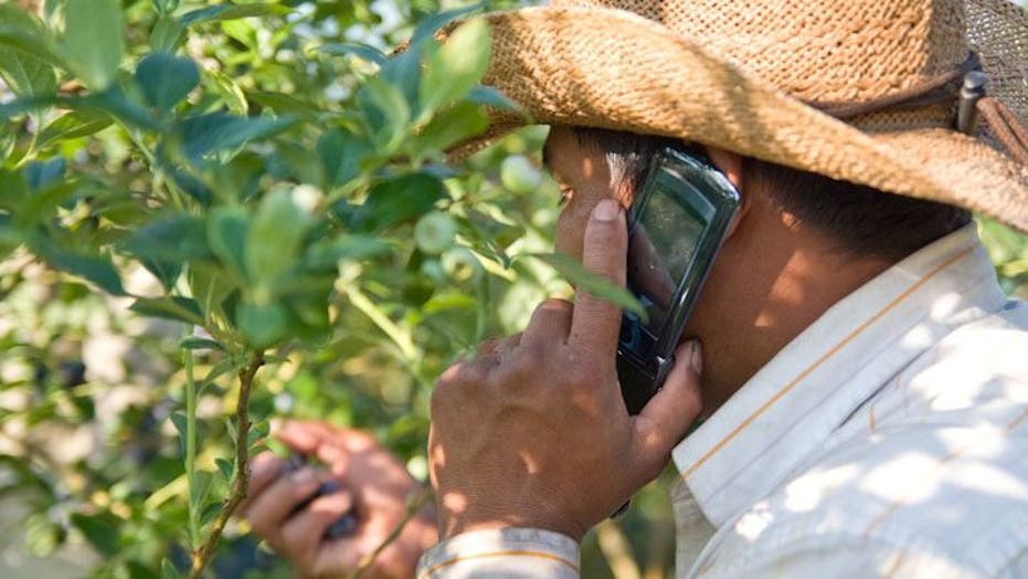 Farmworkers and Cell Phones