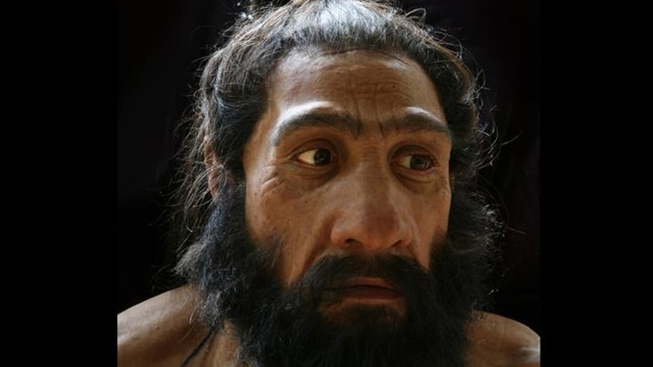 Your Ancestor, the Caveman