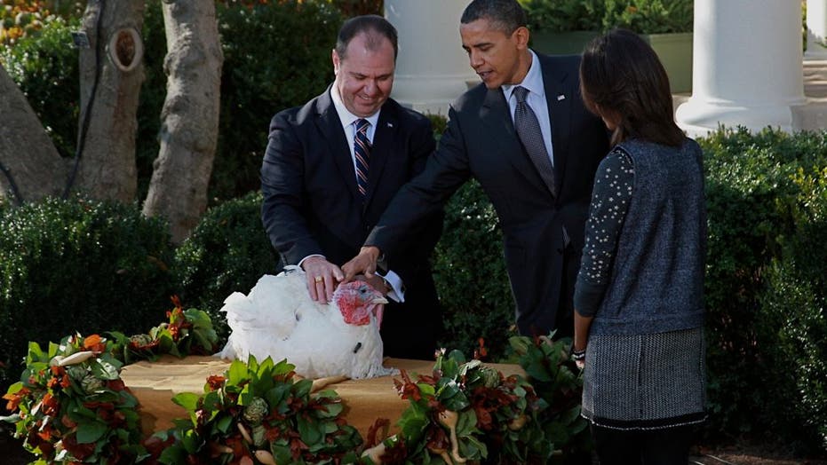Obama Pardons ‘Apple’ the Turkey