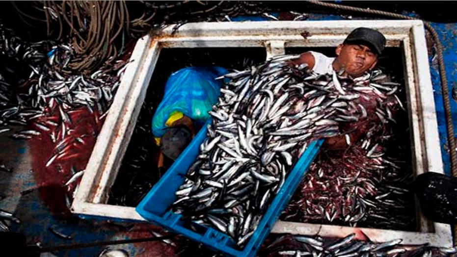 Peru’s Fishermen Fear Losing Livelihood