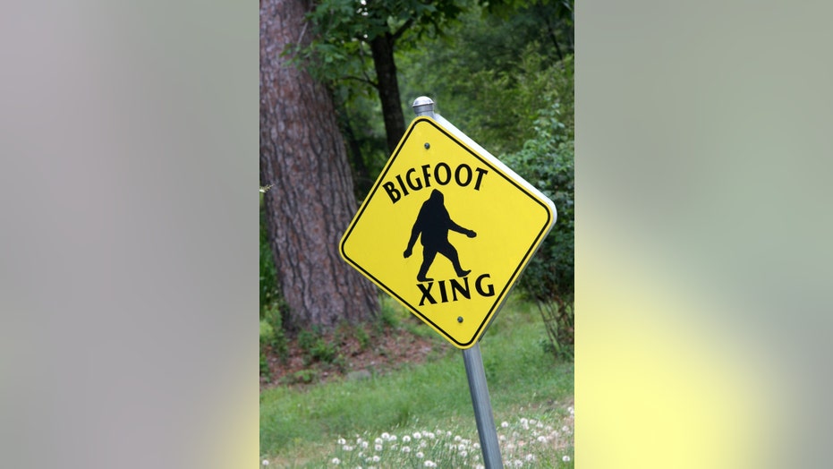 Did men capture photo of a Bigfoot by North Carolina lake