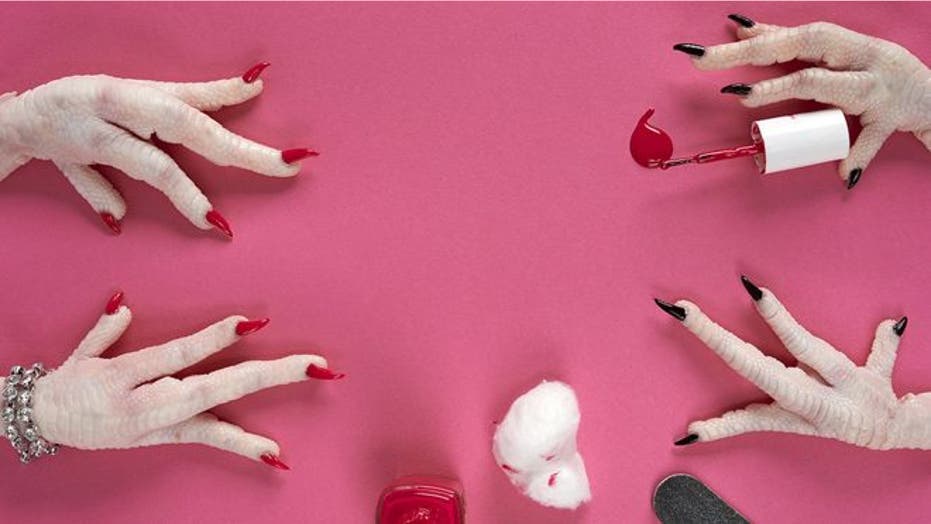Surreal images show animal hands doing human things