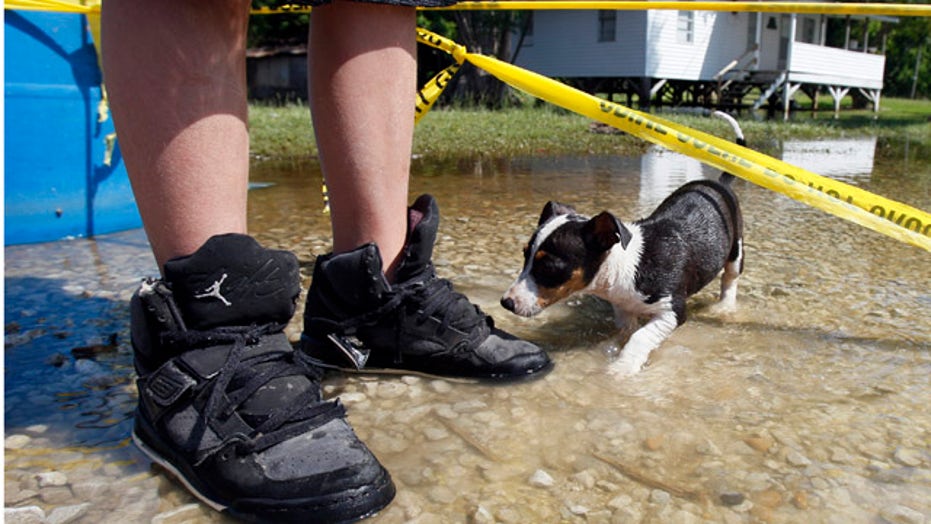 Swelling Mississippi River Devastates Homes, Farmland