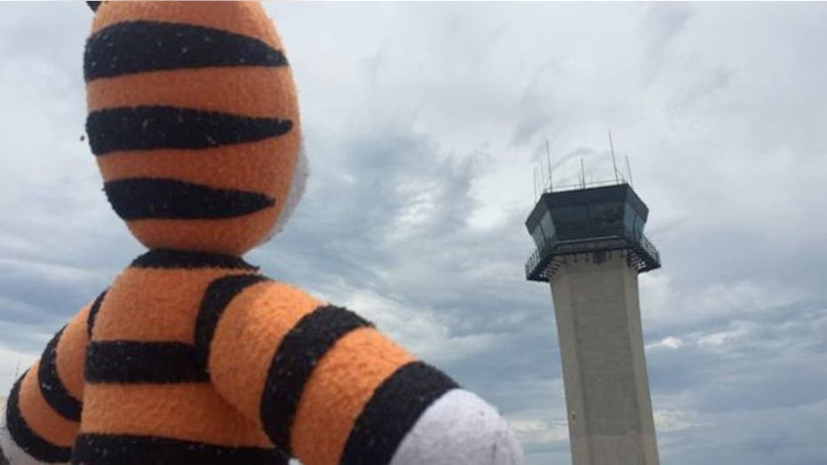 Hobbes the Tiger's heartwarming adventure in Tampa International Airport | Fox News