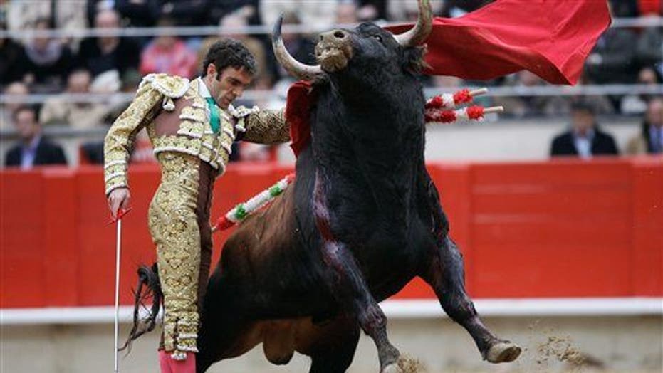 Michael Jordan of Bullfighting Returns