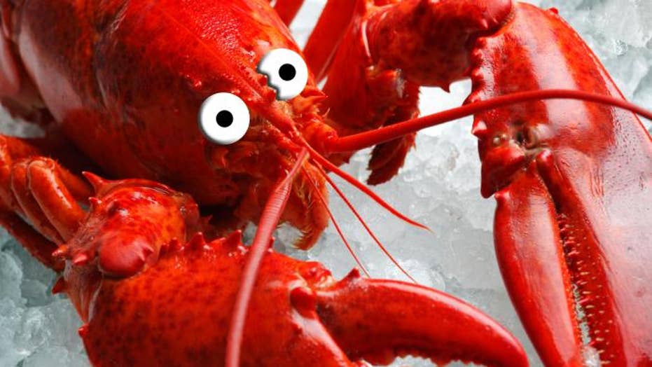 The Truth About Shrimp, Salmon, Lobster, Crab and More