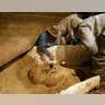 Wooden Sarcophagus Revealed