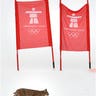 Olympic Wildlife