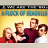 Flock of Seagulls