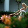 Ivanka Trump swings her daughter Arabella in the Rose Garden at the Congressional Picnic at the White House