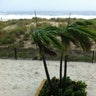 45mph_winds_blow_trees_in_Ocean_City__MD