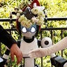 Robot Presides at Wedding