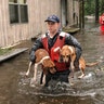 Members of the Coast Guard are seen helping pets stranded by floodwater near Riegelwood, N.C. on Saturday.