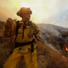 A member with Cal Fire battles a brush fire on a hillside in Burbank, Calif., September 2