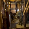 06_noahs_ark_interior_elephant