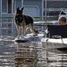 A man in North Carolina tries to get his dog out of a flooded neighborhood in Lumberton on Monday.