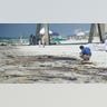 Oil Impact at Pensacola Beach