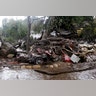 A car and debris smashed against a tree along Hot Springs Road in Montecito, January 9, 2018