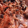 Revelers wrestle and slosh pulp on each other while participating in the annual Tomatina.