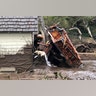 A search dog looks for victims in damaged homes after a mudslide in Montecito, California, January 9, 2018