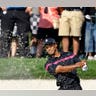 Tiger in the Bunker