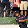 Tiger in the Bunker