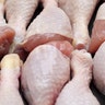 Poultry raw chicken