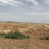 More than 500 human remains were found in the Badoush prison fields outside of Tel Afar, one of several sites in Northern Iraq occupied by ISIS