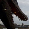 09_noahs_ark_croc