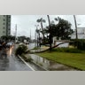 Wild conditions take down tree