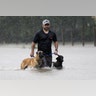 A man and his dogs wade through flood waters from Tropical Storm Harvey in Beaumont Place, Houston, Texas, Monday
