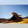 running_of_the_bulls_new_8