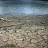 Caribbean_Summer_Drought__10_