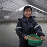 Kim Jin Ok, 25, poses for a portrait as she feeds catfish at the Pyongyang Catfish Farm in Pyongyang, North Korea, April 17, 2017