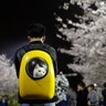 A man carries his pet cat as he walks under the cherry blossoms at Tongji University in Shanghai, China, April 4